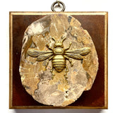 Wooden Frame with Italian Bee on Petrified Wood