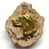 Petrified Wood with Stately Dog