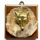 Wooden Frame with Fox on Petrified Wood