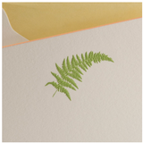 The Printery Boxed Notecards | Fern