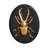 Oval Frame Scarab Small