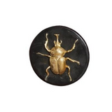 Round Frame Rhinoceros Scarab Small