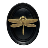 Oval Frame Dragonfly