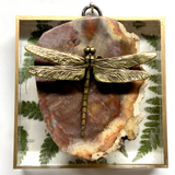 Acrylic Frame with Dragonfly on Petrified Wood / Slight Imperfections